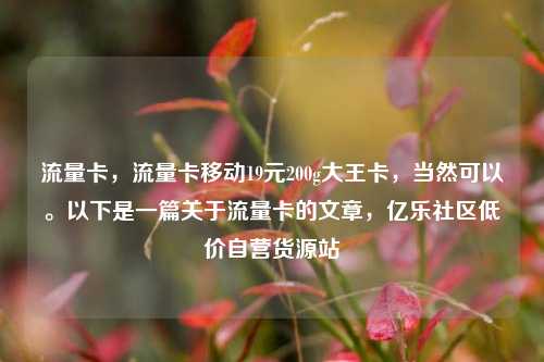 流量卡，流量卡移动19元200g大王卡，当然可以。以下是一篇关于流量卡的文章	，亿乐社区低价自营货源站  第1张