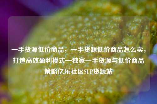 一手货源低价商品，一手货源低价商品怎么卖	，打造高效盈利模式—独家一手货源与低价商品策略亿乐社区SUP货源站  第1张