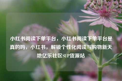 小红书阅读下单平台，小红书阅读下单平台是真的吗	，小红书，解锁个性化阅读与购物新天地亿乐社区SUP货源站  第1张