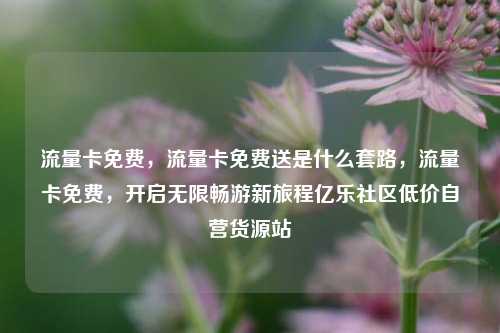 流量卡免费，流量卡免费送是什么套路	，流量卡免费，开启无限畅游新旅程亿乐社区低价自营货源站  第1张