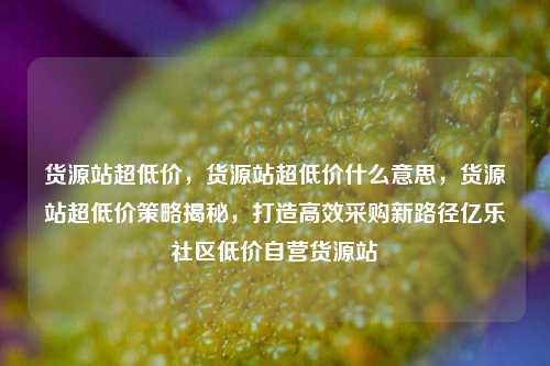 货源站超低价，货源站超低价什么意思	，货源站超低价策略揭秘，打造高效采购新路径亿乐社区低价自营货源站  第1张