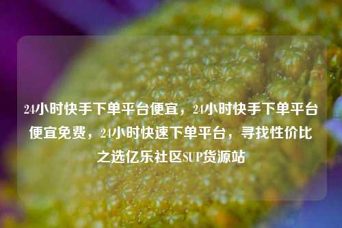 24小时快手下单平台便宜，24小时快手下单平台便宜免费，24小时快速下单平台	，寻找性价比之选亿乐社区SUP货源站  第1张