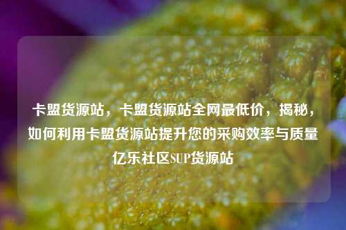 卡盟货源站，卡盟货源站全网最低价，揭秘	，如何利用卡盟货源站提升您的采购效率与质量亿乐社区SUP货源站  第1张