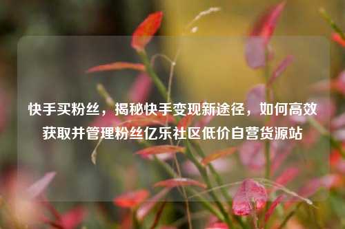 快手买粉丝	，揭秘快手变现新途径，如何高效获取并管理粉丝亿乐社区低价自营货源站  第1张