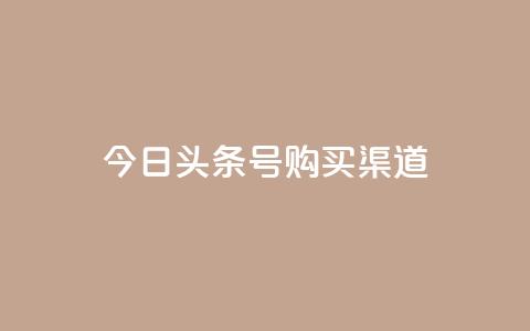 今日头条号购买渠道 - 购买今日头条号的途径及方法~ 第1张