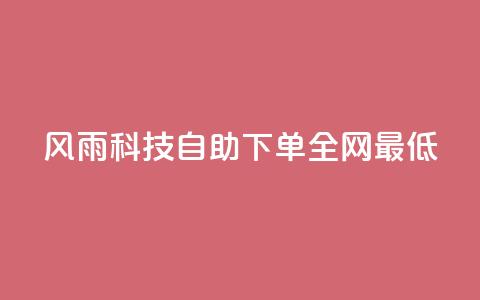 风雨科技自助下单全网最低 - 风雨科技自助下单享受全网最低价格攻略~ 第1张