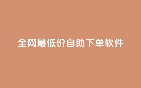 全网最低价自助下单软件,ks自动下单平台 - qq赞0.1元一万 qq号自助下单 第1张