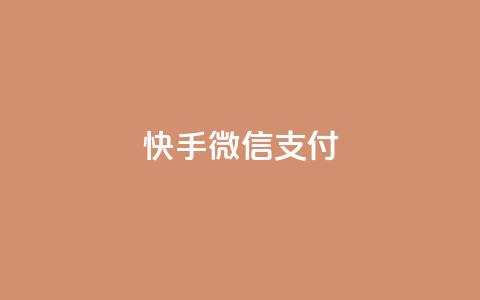 快手微信支付 - 24小时下单超便宜 第1张