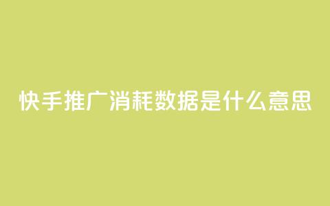 快手推广消耗数据是什么意思,ks直播业务平台怎么下 - qq24小时自助下单商城 口碑最好的美容仪 第1张