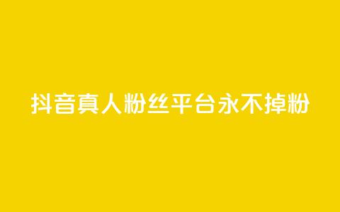 抖音真人粉丝平台 永不掉粉,点赞自助平台有哪些 - qq空间访客量购买网站 24小时全网最低价下单平台 第1张