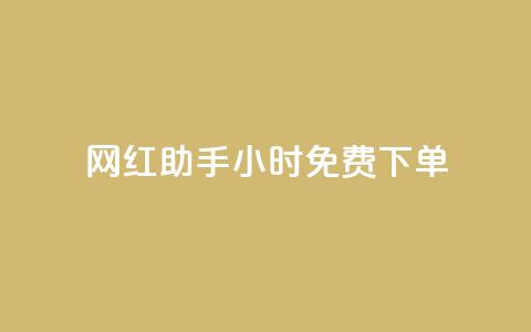 网红助手24小时免费下单,快手流量推广网站低价 - 抖音业务低价业务平台 全网辅助最低货源网 第1张