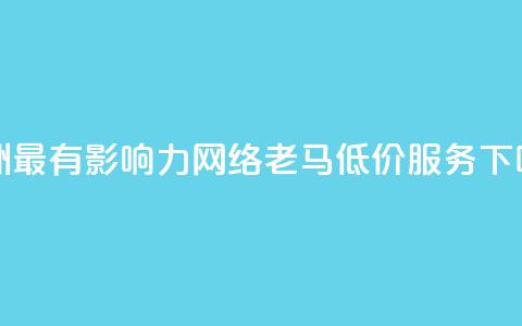 亚洲最有影响力网络老马低价服务 第1张