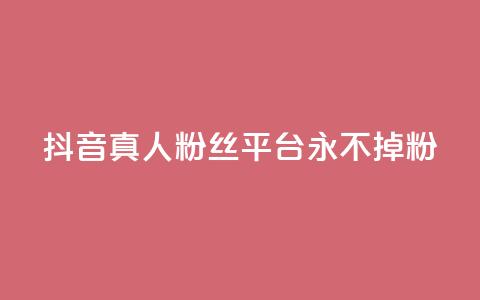 抖音真人粉丝平台 永不掉粉 - 抖音真人粉丝长期稳定平台！ 第1张