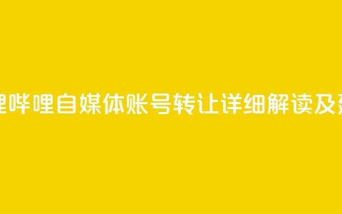 哔哩哔哩自媒体账号转让：详细解读及建议 第1张