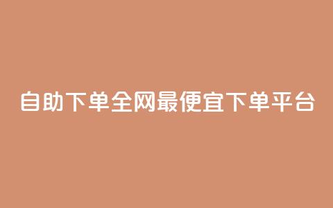 自助下单全网最便宜下单平台,熊猫业务下单平台 - ks业务在线下单平台 抖音点赞24小时在线超低价 第1张