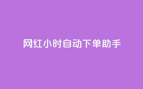 网红24小时自动下单助手 - qq自助平台全网最低 第1张