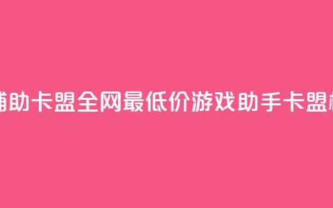 全网最低价游戏辅助卡盟 - 全网最低价游戏助手卡盟，极具性价比！~ 第1张