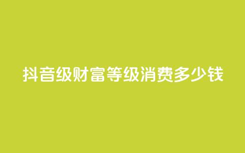 抖音24级财富等级消费多少钱,QQ空间访客12万 - 刷QQ空间访客量 抖音充值官方链接地址 第1张