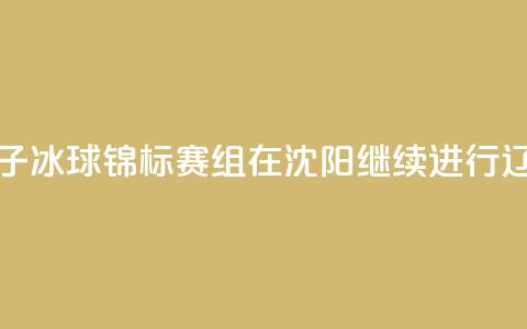 2024年全国青少年U系列女子冰球锦标赛U12组在沈阳继续进行 辽宁队0_1负广东队 第1张