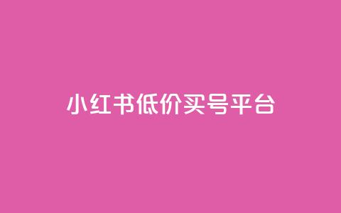 小红书低价买号平台 - 抖音24小时平台有哪些 第1张