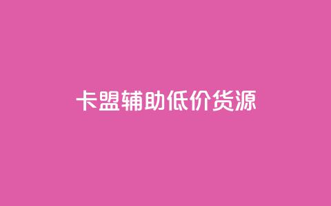 卡盟辅助低价货源,全网最低价业务平台官网 - 全民k歌粉丝业务 ks免费业务平台云小店 第1张