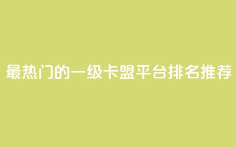 最热门的一级卡盟平台排名推荐 第1张