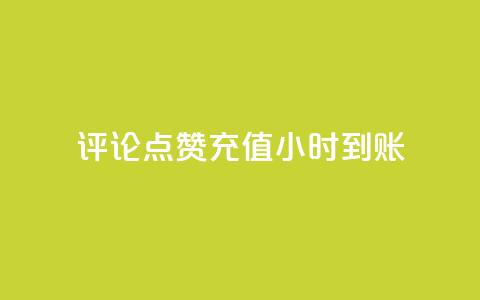 dy评论点赞充值24小时到账,快手真人粉丝平台 永不掉粉 - 快手业务平台网站官网 KS低价业务下单平台 第1张