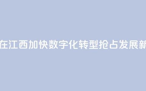 台商在江西：加快数字化转型 抢占发展新赛道 第1张