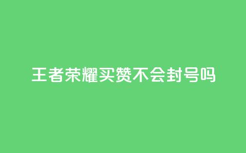 王者荣耀买赞不会封号吗 - 王者荣耀买赞是否会被封号？揭秘封号风险！~ 第1张