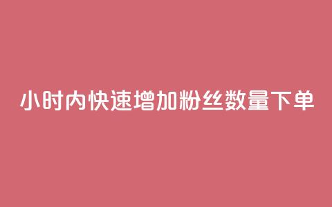 24小时内快速增加粉丝数量下单 第1张