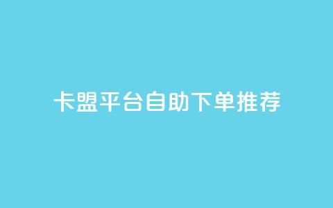 卡盟平台自助下单推荐 - 自助下单推荐：卡盟平台优选推荐! 第1张