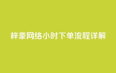 梓豪网络24小时下单流程详解,云小店QQ快手点赞 - 快手1分钟500赞 ks24小时下单平台 第1张