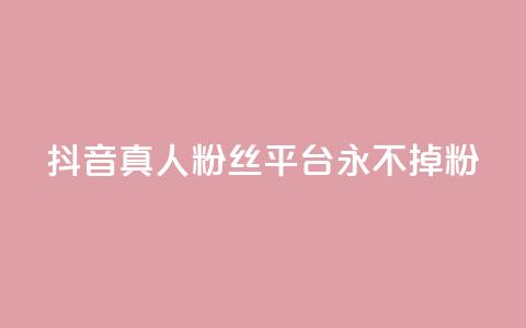 抖音真人粉丝平台 永不掉粉 - 抖音粉丝平台：畅享稳定粉丝，永远不失粉！~ 第1张