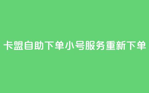 卡盟自助下单小号服务重新下单 第1张