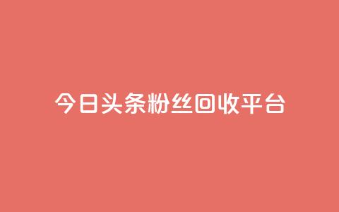 今日头条粉丝回收平台 - 免费业务自助下单网站 第1张