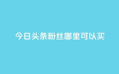 今日头条粉丝哪里可以买 - 在哪里可以购买今日头条粉丝？! 第1张