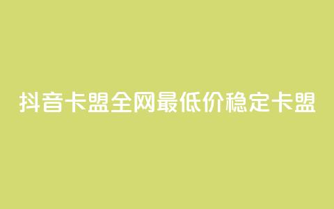 抖音卡盟全网最低价稳定卡盟,彩虹自助下单24 - qq赞资料买 qq会员买一得四活动 第1张