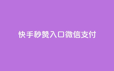 快手秒赞入口微信支付,低价卡网货源网站科技 - 小红书24小时自助业务网站 ks自助下单业 第1张