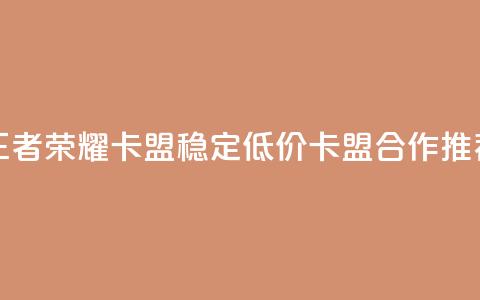 王者荣耀卡盟 稳定低价卡盟合作推荐 第1张