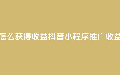 抖音推广小程序怎么获得收益 - 抖音小程序推广收益获取指南~ 第1张