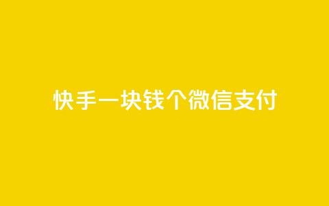 快手一块钱100个微信支付,全网自动下单平台 - QQ空间 快手播放量一万免费网站 第1张