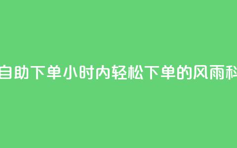 风雨科技24小时自助下单(24小时内轻松下单的风雨科技服务) 第1张