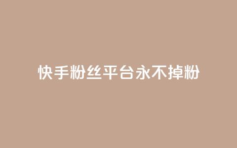 快手粉丝平台+永不掉粉,ks业务24小时下单平台最便宜 - ks24小时在线下单 抖音点赞24h秒到账 第1张