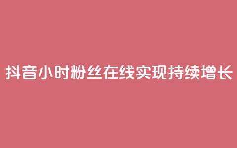 抖音24小时粉丝在线，实现持续增长 第1张