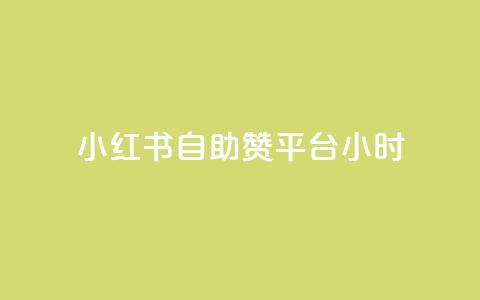 小红书自助赞平台24小时 - 小红书自助赞平台24小时服务! 第1张