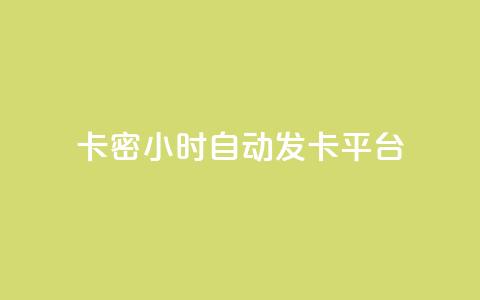 卡密24小时自动发卡平台 - 全天候自动发卡系统一键获取卡密服务。 第1张