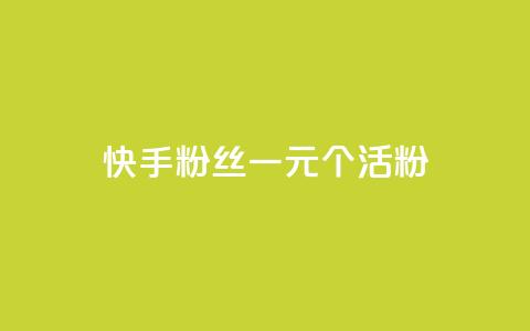 快手粉丝一元1000个活粉 - 获取1000个快手活粉只需1元！ 第1张