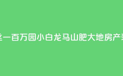 快手粉丝一百万0.01园小白龙马山肥大地房产装修网站,1分钟3000赞 - 刷空间访客人数 QQ动态自动秒赞 第1张