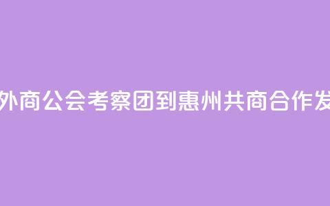 香港广东外商公会考察团到惠州共商合作发展 第1张