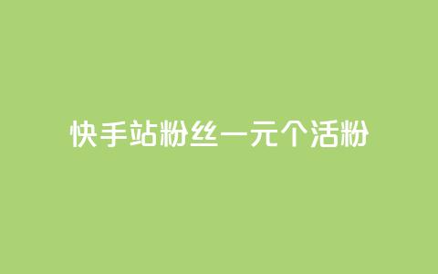 快手b站粉丝一元1000个活粉,qq点赞低价 - 快手粉丝平台+永不掉粉 1元3000粉丝不掉粉丝怎么弄 第1张